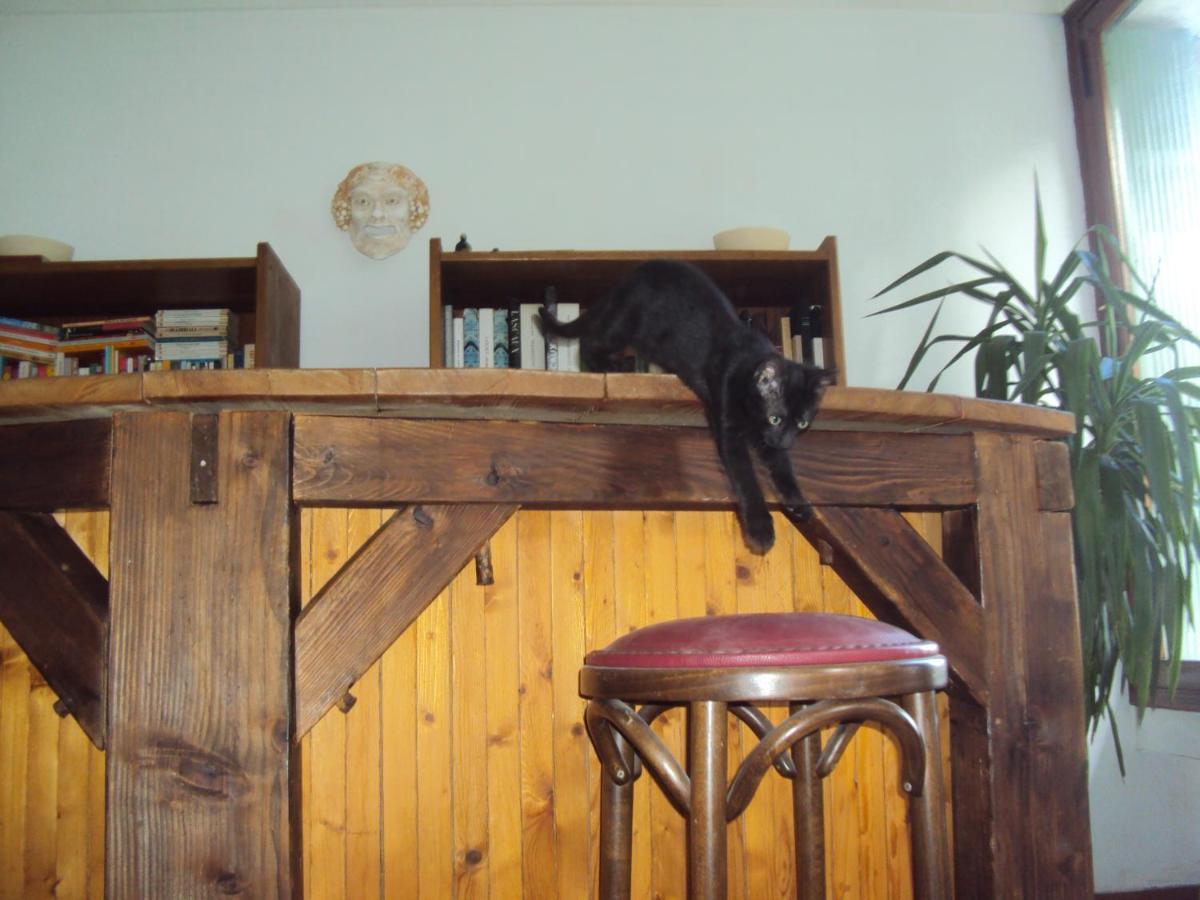 El Gato Negro Panzió Montignac-Lascaux Kültér fotó